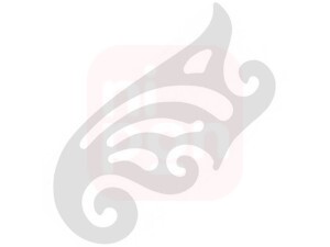 Curva Francesa de Acrílico - Trident