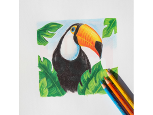 Lápis de Cor Sextavado Evolution 12 Cores  – BIC